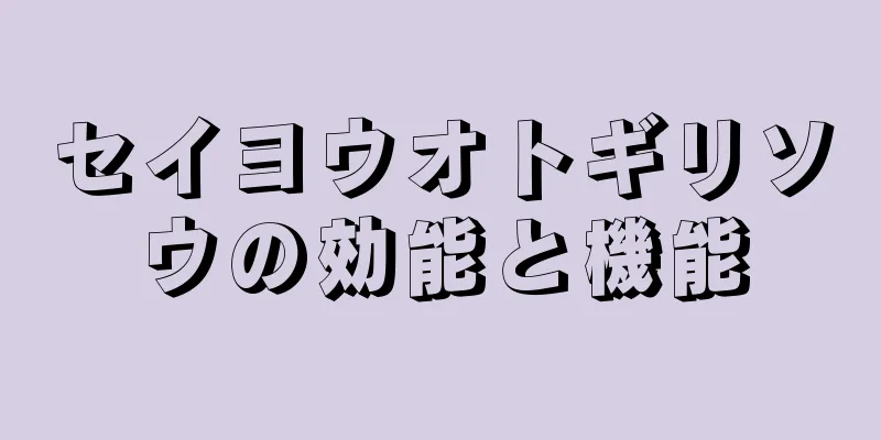 セイヨウオトギリソウの効能と機能