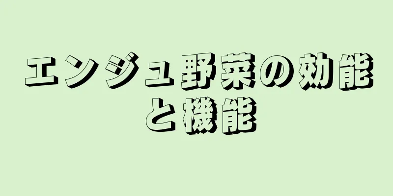 エンジュ野菜の効能と機能