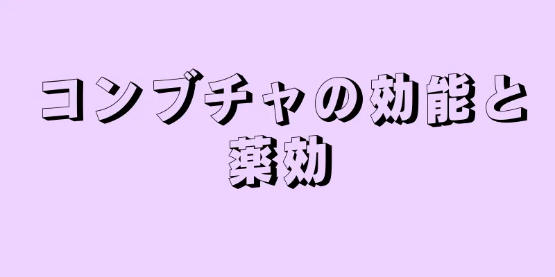 コンブチャの効能と薬効