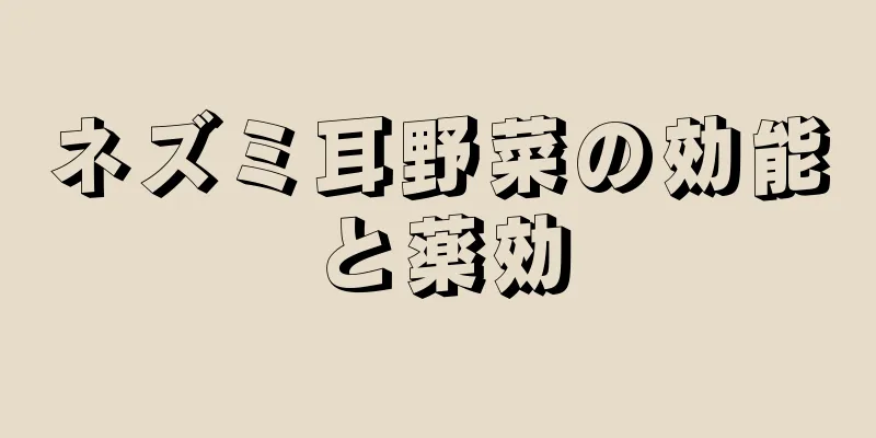 ネズミ耳野菜の効能と薬効