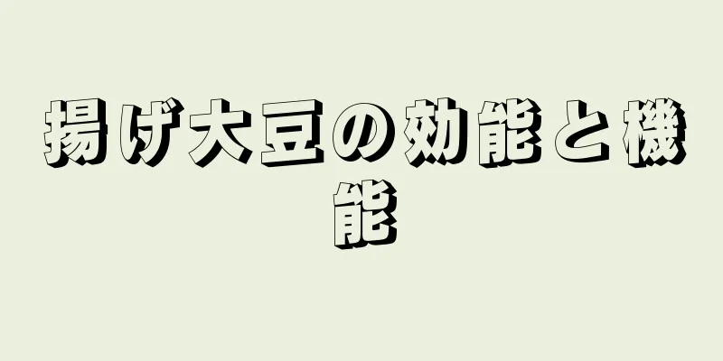 揚げ大豆の効能と機能