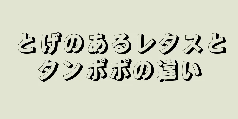 とげのあるレタスとタンポポの違い