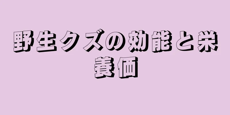 野生クズの効能と栄養価