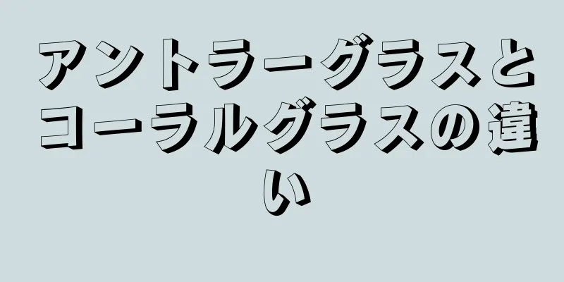 アントラーグラスとコーラルグラスの違い