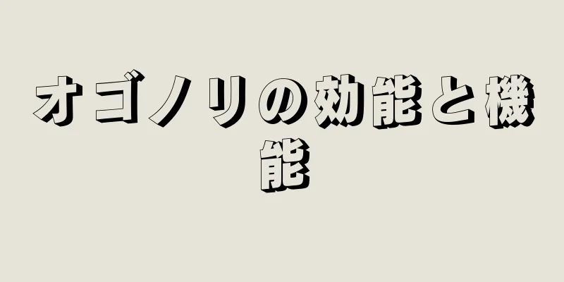 オゴノリの効能と機能