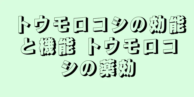 トウモロコシの効能と機能 トウモロコシの薬効