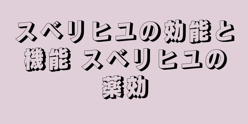 スベリヒユの効能と機能 スベリヒユの薬効