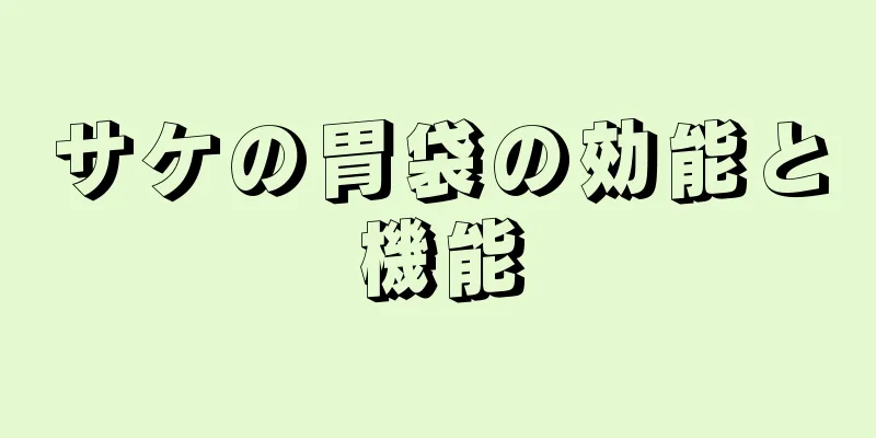 サケの胃袋の効能と機能