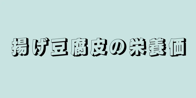 揚げ豆腐皮の栄養価