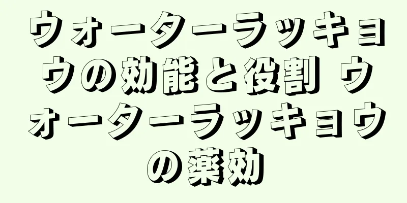 ウォーターラッキョウの効能と役割 ウォーターラッキョウの薬効