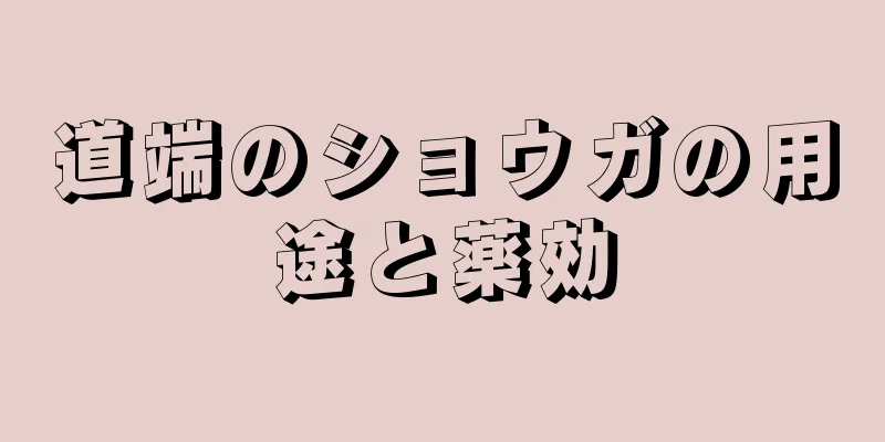 道端のショウガの用途と薬効