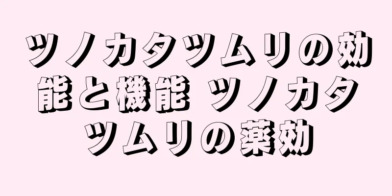 ツノカタツムリの効能と機能 ツノカタツムリの薬効