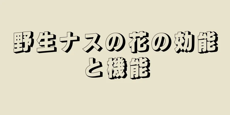 野生ナスの花の効能と機能