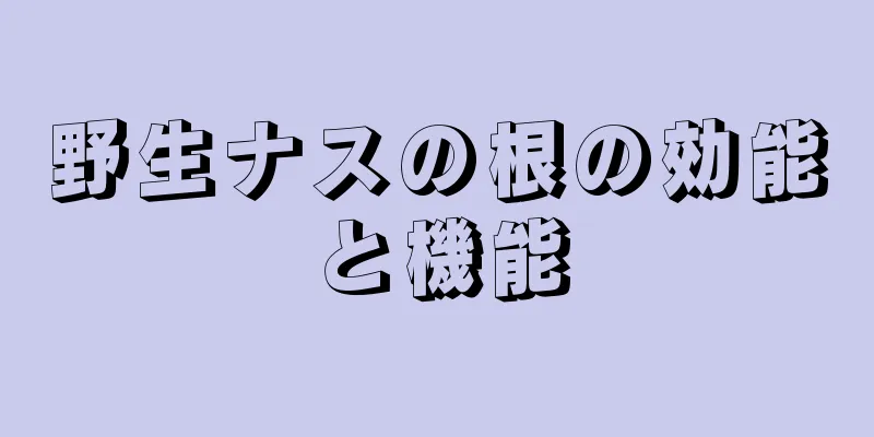 野生ナスの根の効能と機能