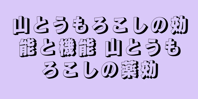 山とうもろこしの効能と機能 山とうもろこしの薬効