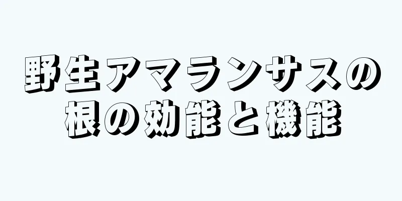 野生アマランサスの根の効能と機能