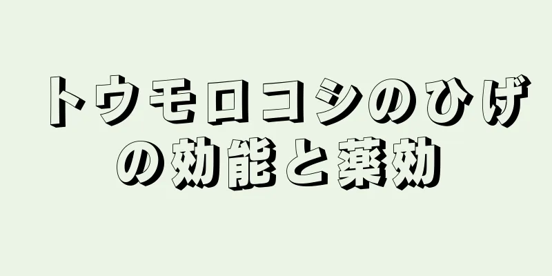 トウモロコシのひげの効能と薬効