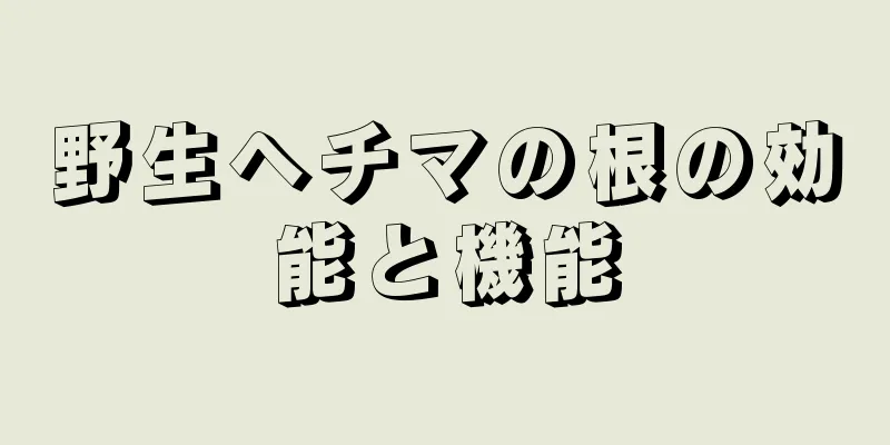 野生ヘチマの根の効能と機能