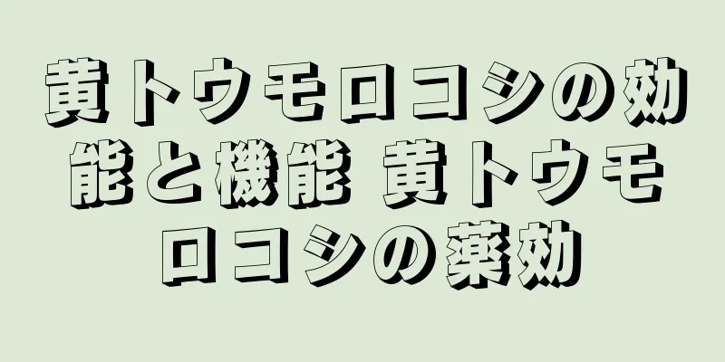 黄トウモロコシの効能と機能 黄トウモロコシの薬効