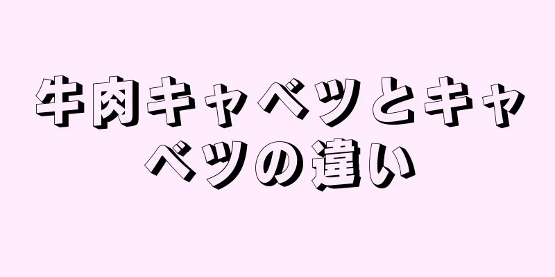 牛肉キャベツとキャベツの違い