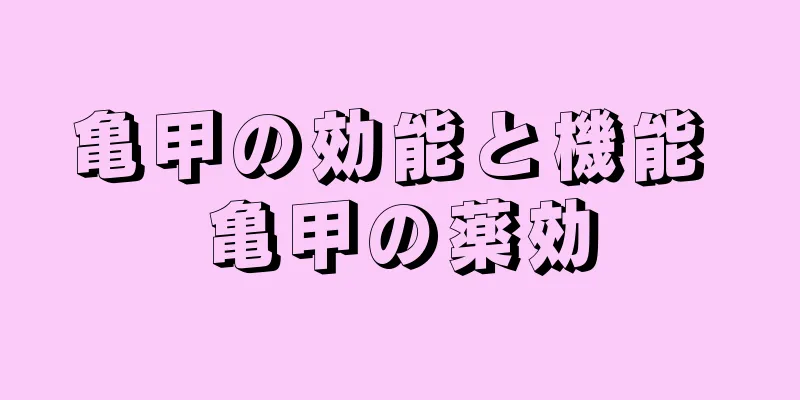 亀甲の効能と機能 亀甲の薬効