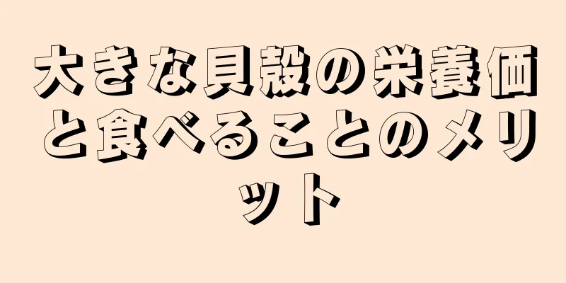 大きな貝殻の栄養価と食べることのメリット