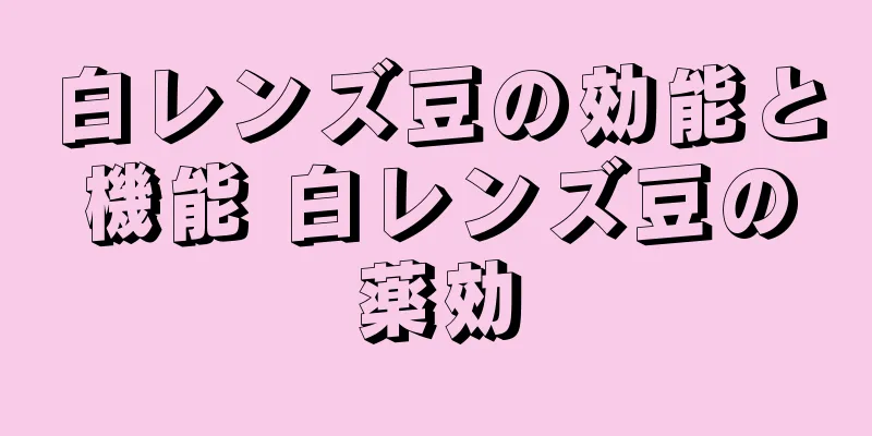 白レンズ豆の効能と機能 白レンズ豆の薬効
