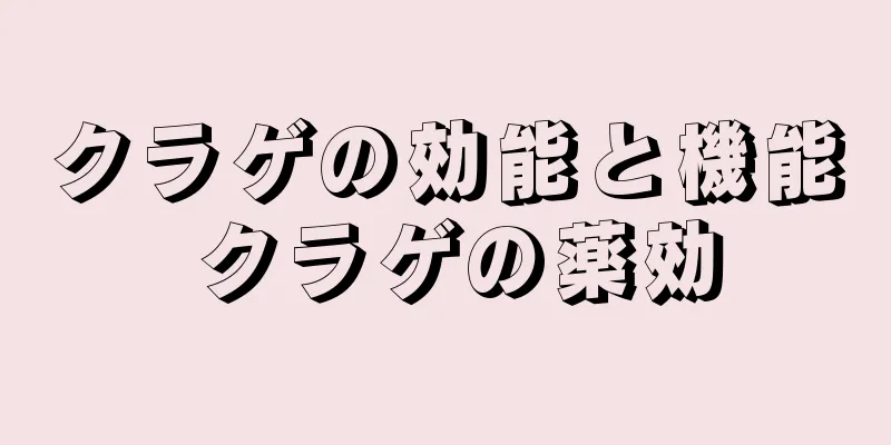クラゲの効能と機能 クラゲの薬効