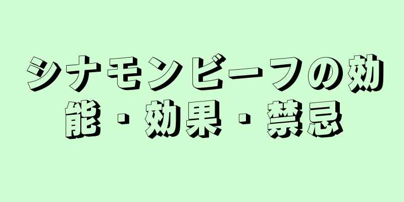 シナモンビーフの効能・効果・禁忌
