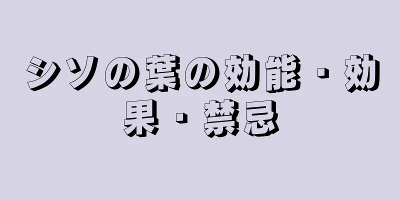 シソの葉の効能・効果・禁忌