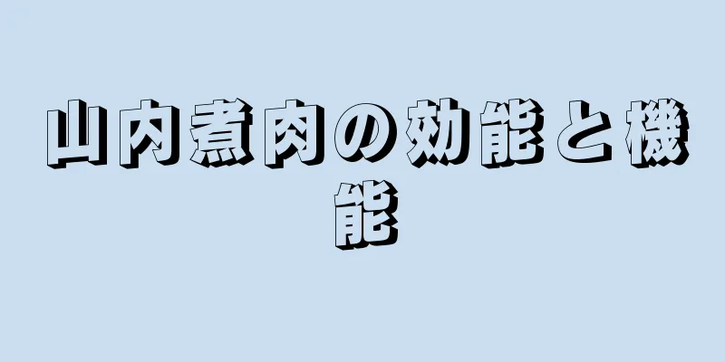 山内煮肉の効能と機能