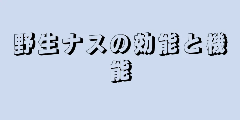 野生ナスの効能と機能