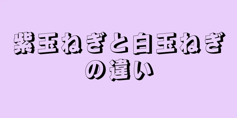 紫玉ねぎと白玉ねぎの違い