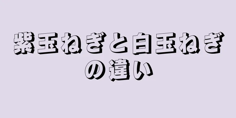 紫玉ねぎと白玉ねぎの違い