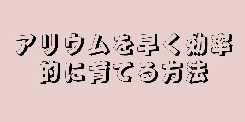 アリウムを早く効率的に育てる方法