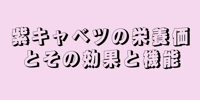 紫キャベツの栄養価とその効果と機能