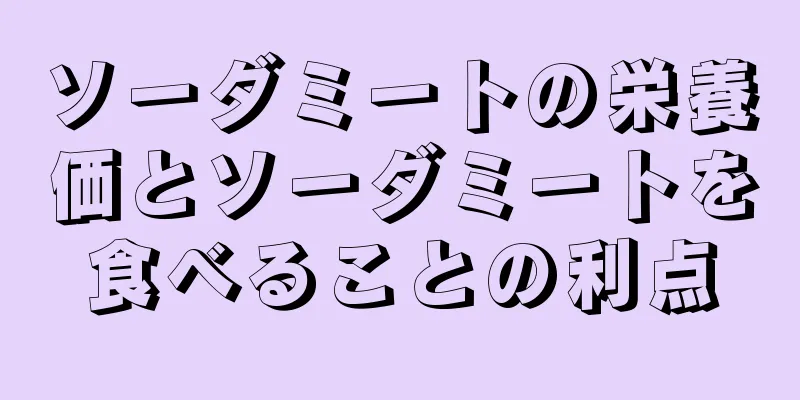 ソーダミートの栄養価とソーダミートを食べることの利点