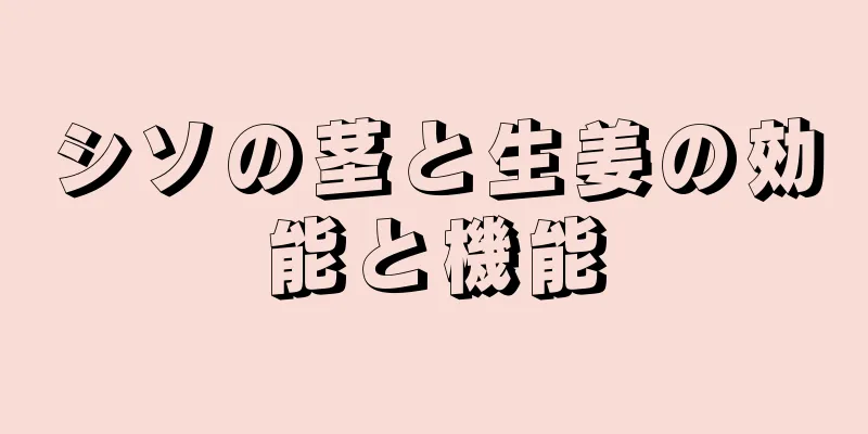 シソの茎と生姜の効能と機能