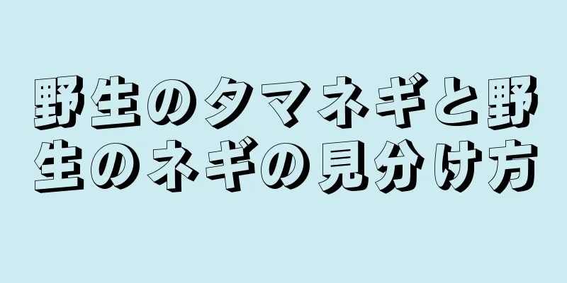 野生のタマネギと野生のネギの見分け方