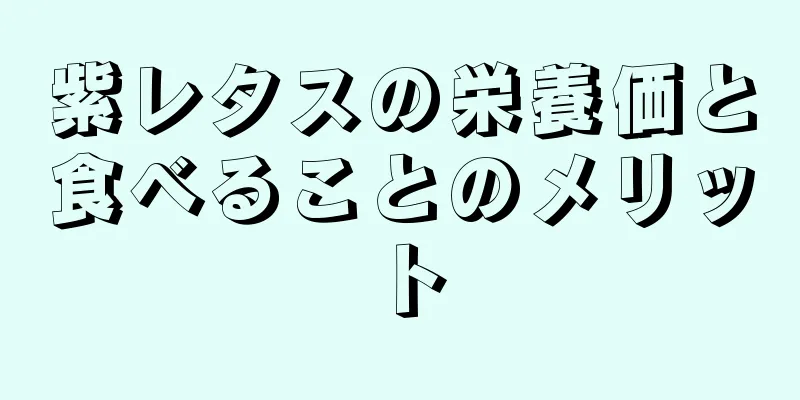 紫レタスの栄養価と食べることのメリット