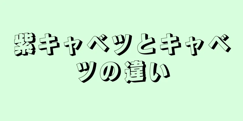 紫キャベツとキャベツの違い