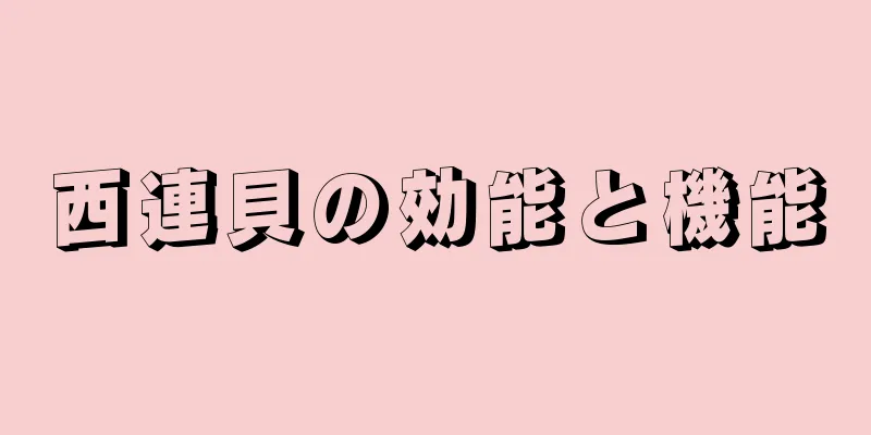 西連貝の効能と機能