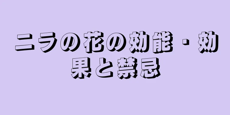 ニラの花の効能・効果と禁忌