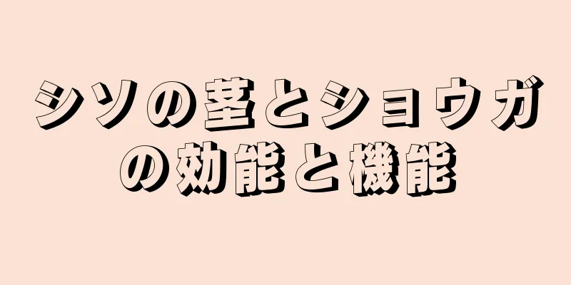 シソの茎とショウガの効能と機能