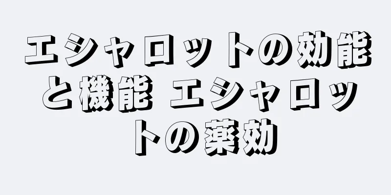 エシャロットの効能と機能 エシャロットの薬効