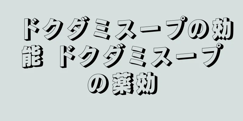 ドクダミスープの効能 ドクダミスープの薬効