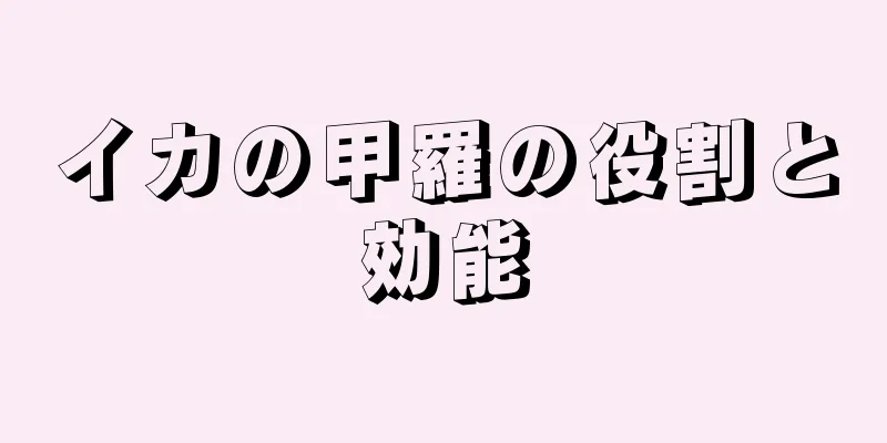 イカの甲羅の役割と効能