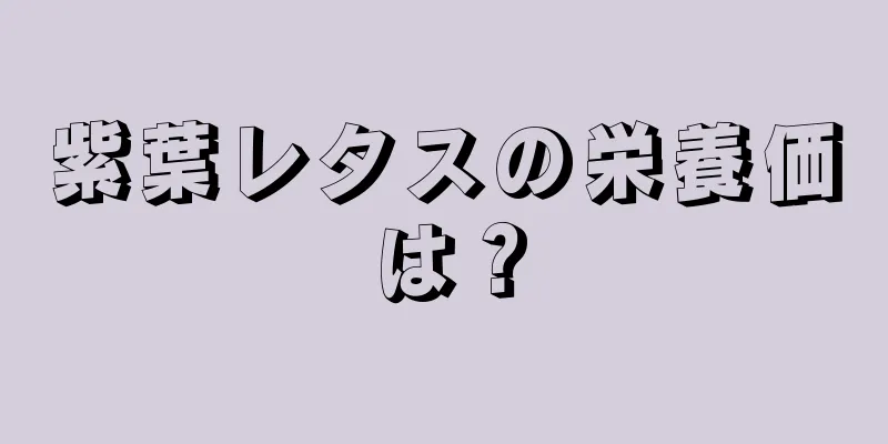 紫葉レタスの栄養価は？