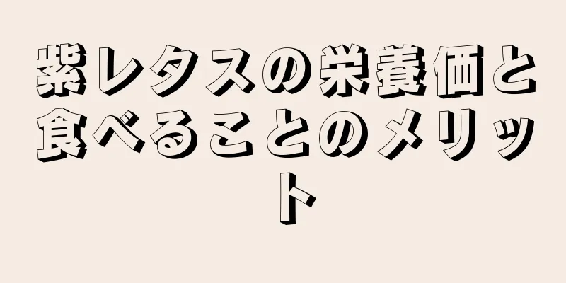 紫レタスの栄養価と食べることのメリット