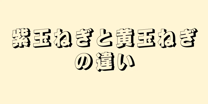 紫玉ねぎと黄玉ねぎの違い